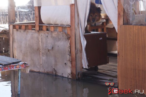 «Мама, мы утонем?»… В Серове затопило пять частных домов
