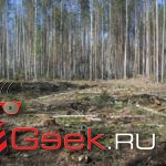 Вырубка леса в районе Киселевского водохранилища. Все фото предоставлены Николаем Демидовым.
