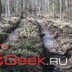Вырубка леса в районе Киселевского водохранилища. Все фото предоставлены Николаем Демидовым.
