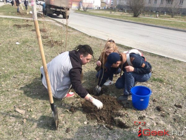 Серов принял участие во Всероссийском дне посадки леса