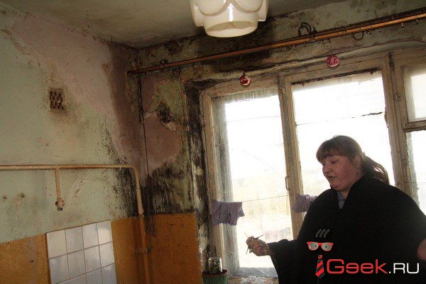 Мэрия Серова дала жителям «фекального общежития» новую квартиру, а через неделю… попросила освободить ее