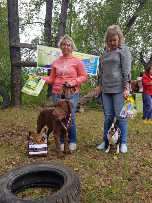 В Серове прошел первый спортивно-развлекательный турнир по послушанию среди собак